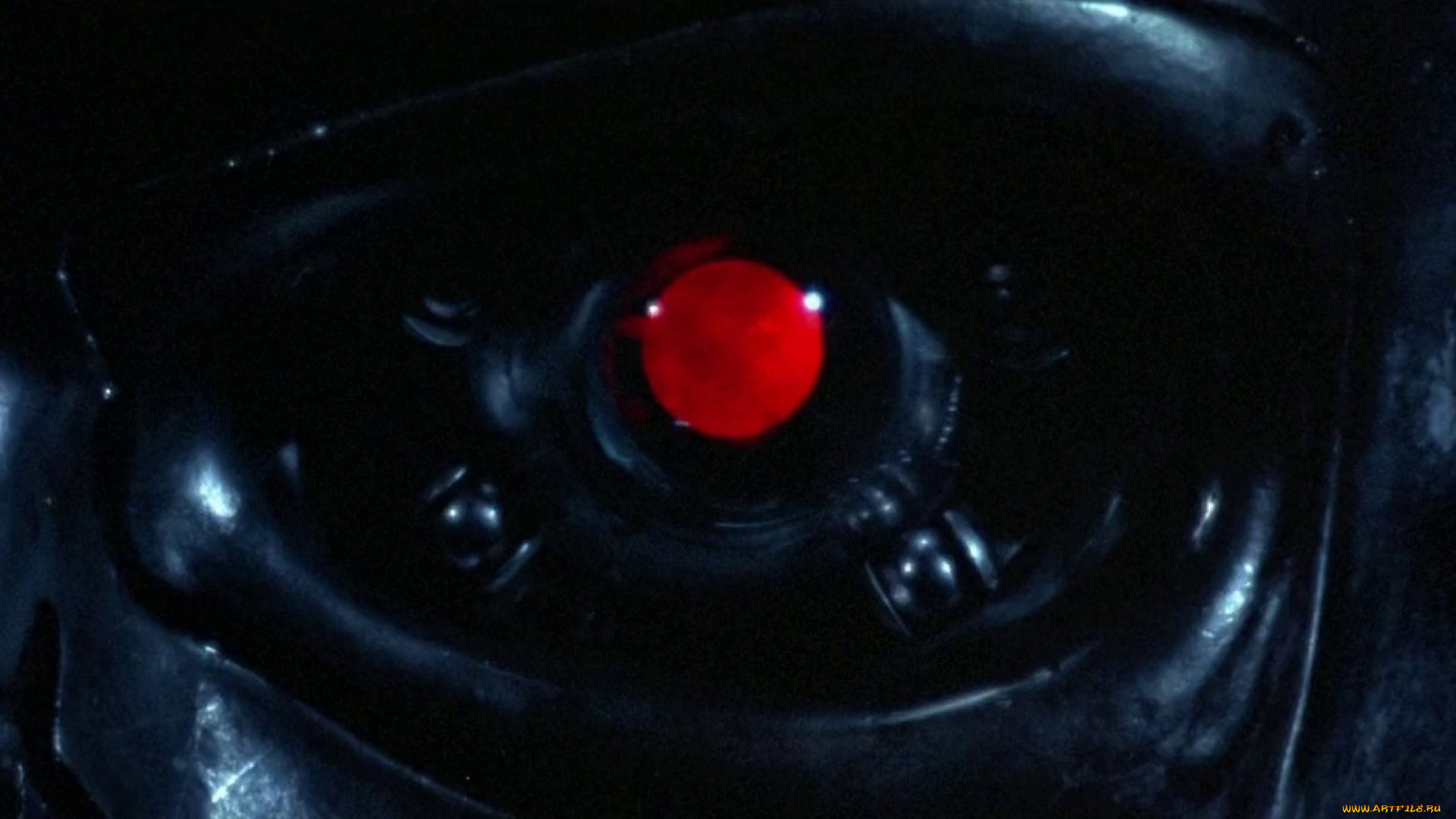  , terminator, , 